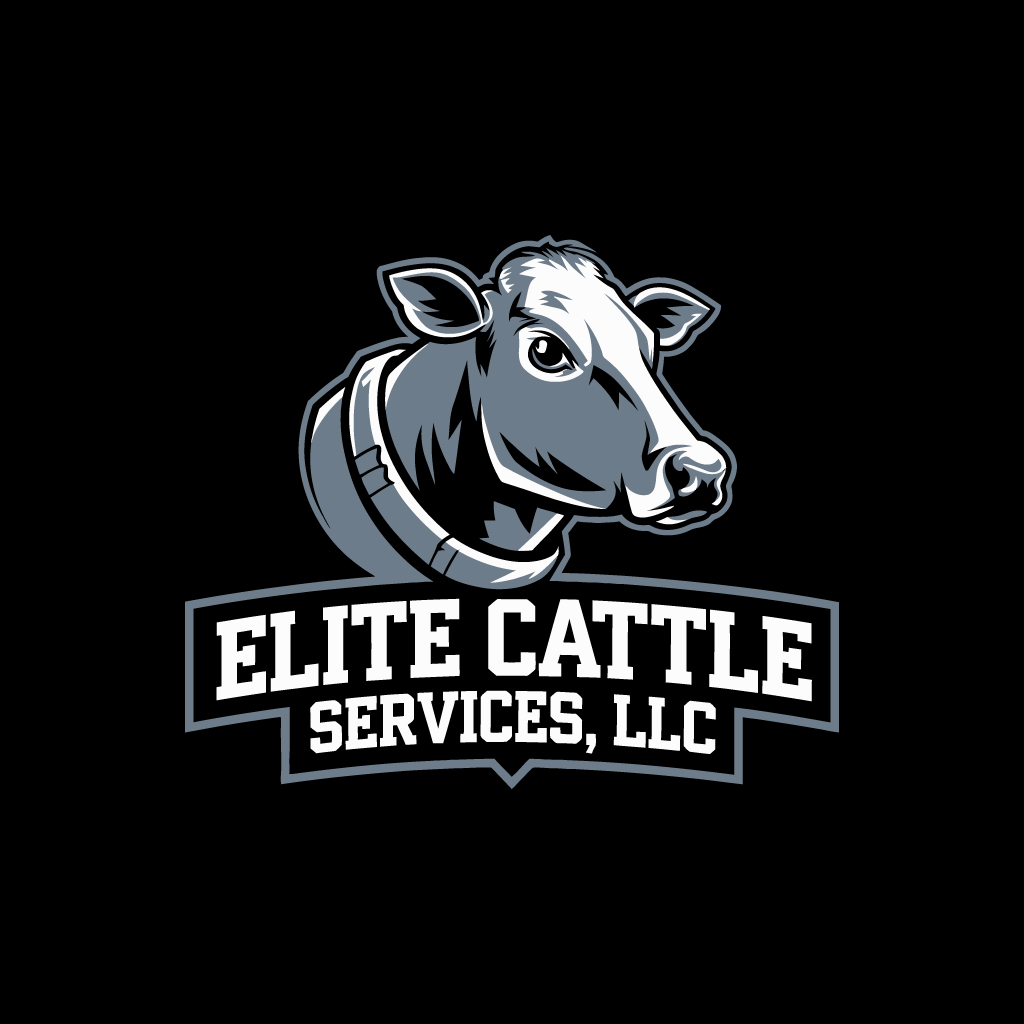 Logo Design by bute for this project | Design #33953069