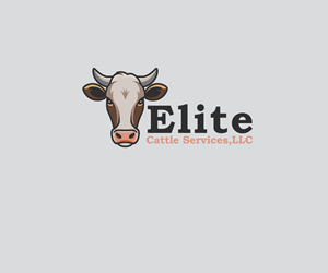 Logo Design by Natan for this project | Design: #33938414