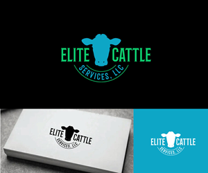 Logo Design by Ansh Design for this project | Design: #33937951