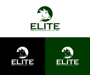 Logo Design by Ansh Design for this project | Design: #33937953