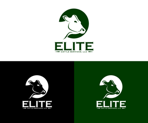 Logo Design by Ansh Design for this project | Design: #33939470
