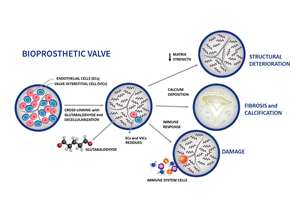 Illustration Design by Futuristic_Design