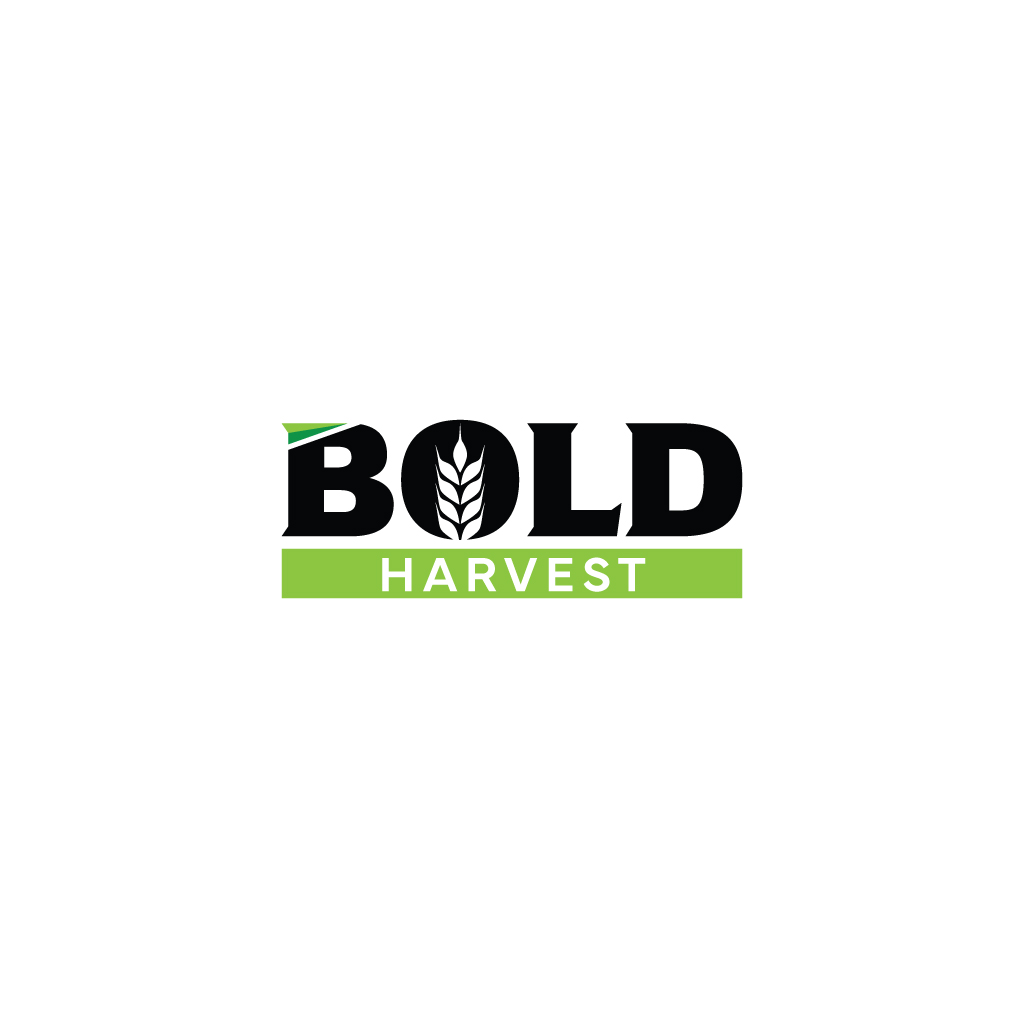 Logo Design by JohnnyCactus for Bold Corporation | Design #33951902