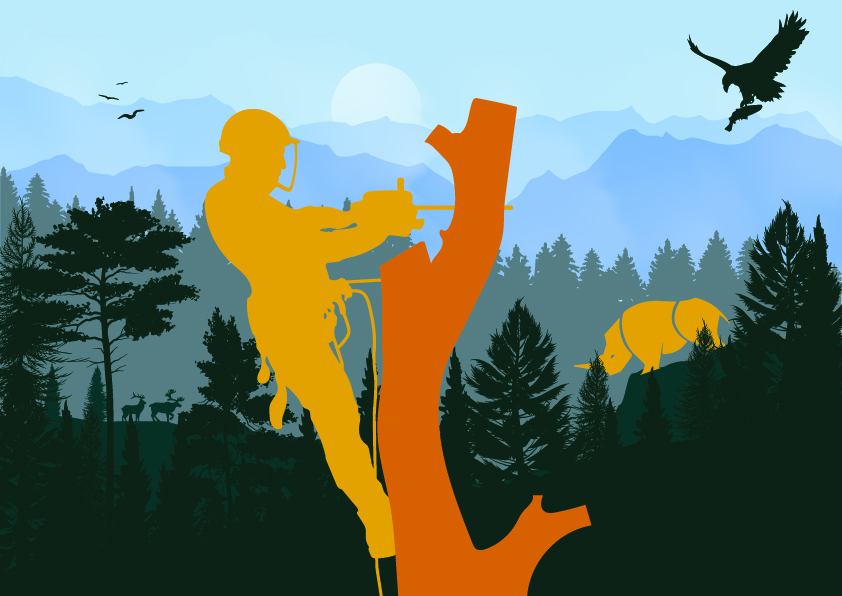 Illustration-Design von Kings Bishop Design für dieses Projekt | Design #34213415