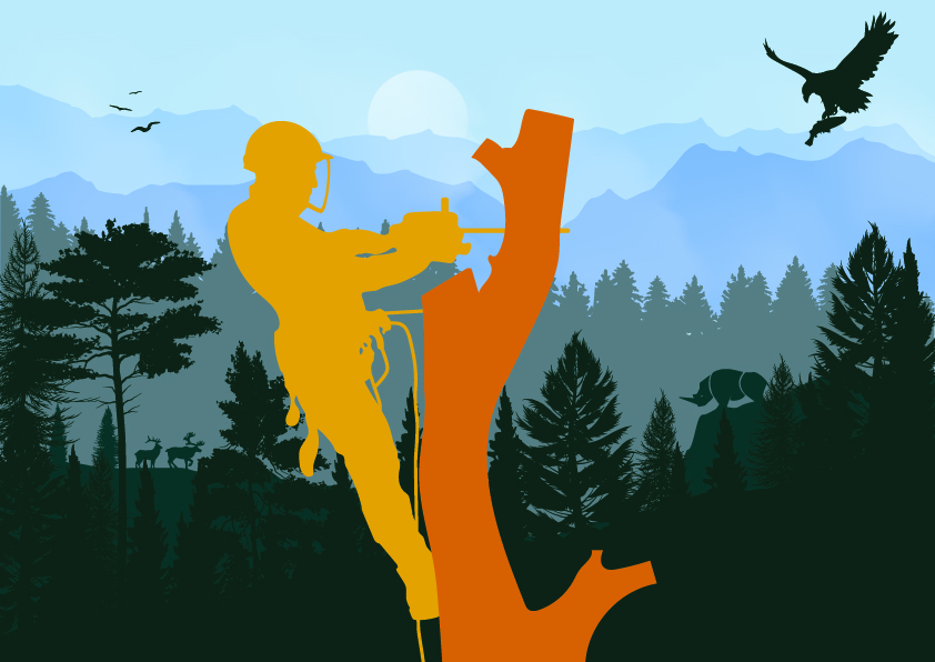 Illustration Design by Kings Bishop Design for this project | Design #34213441