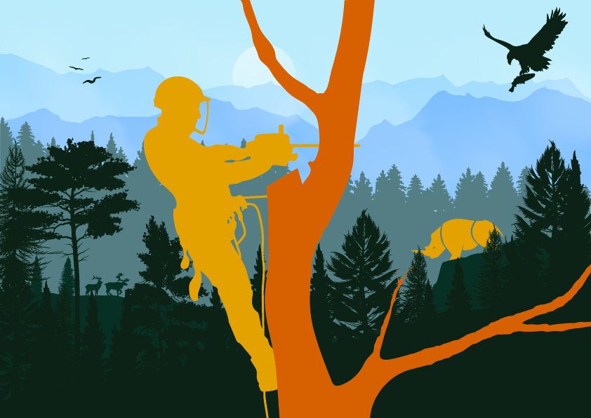 Illustration Design by Kings Bishop Design for this project | Design #34218630