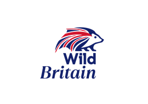 Logo Design by theBrandpro