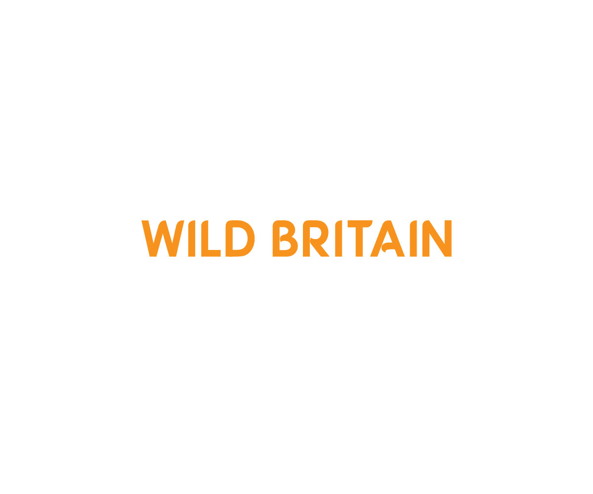 Logo Design by niajul hok for this project | Design #33961883
