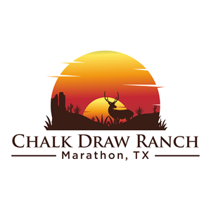 Logo Design by Astro D