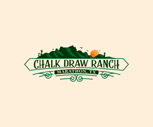 Design de Logo par Ansh Design pour ce projet | Design : #33959113