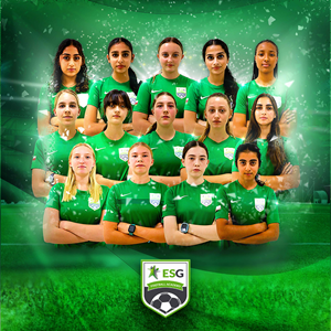 Diseño de Flyer por HeshanKavinda para este proyecto | Diseño: #33969100