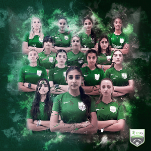 Diseño de Flyer por HeshanKavinda para este proyecto | Diseño: #33973096