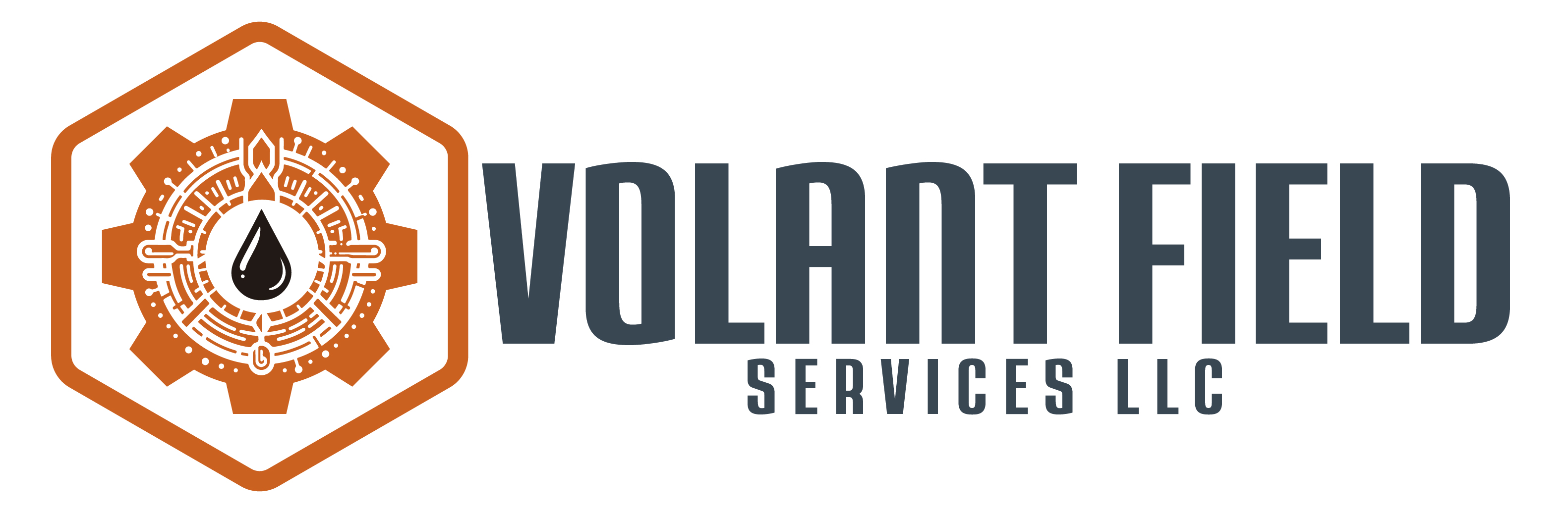 Diseño de Logo por juanpost para este proyecto | Diseño #34013529