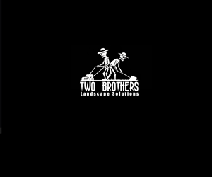 Logo Design by Natan