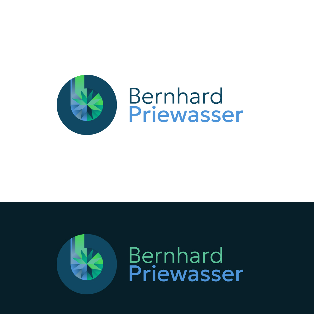 Diseño de Logo por Franabanana para este proyecto | Diseño #33981252