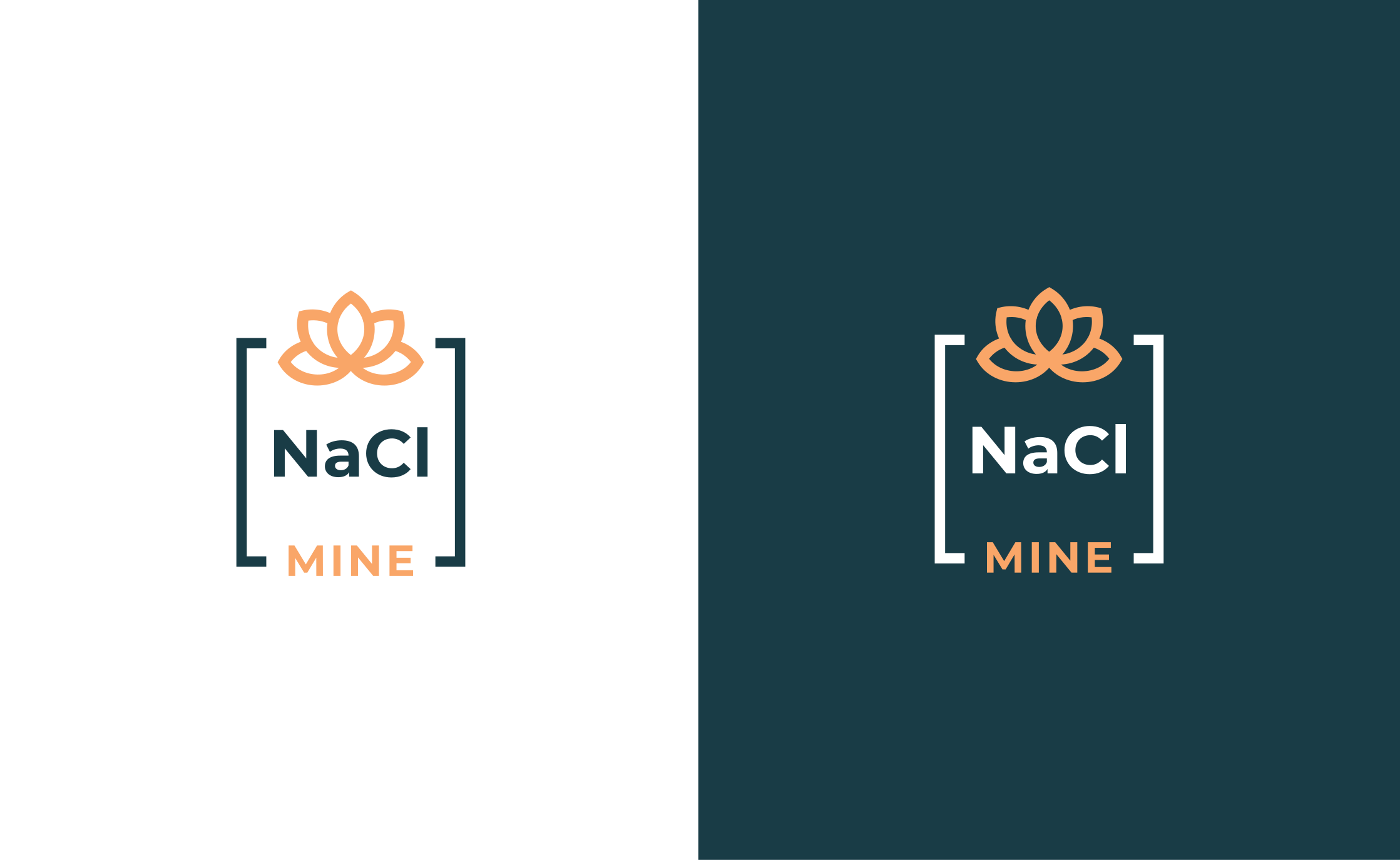 Diseño de Logo por Zaid Al Faqih para este proyecto | Diseño #34024694