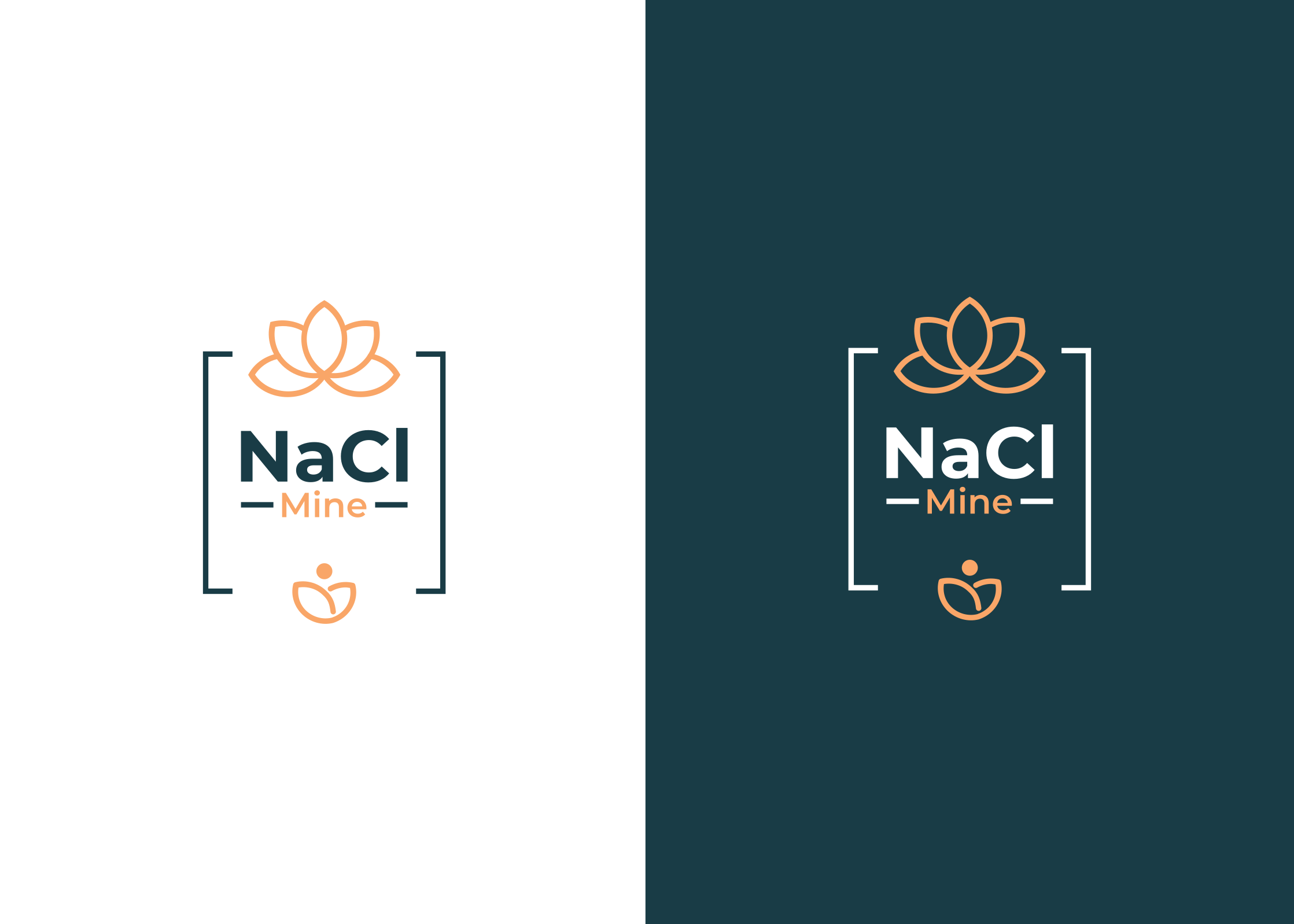 Design de Logo par Zaid Al Faqih pour ce projet | Design #34025035