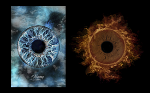 Photoshop Design by Zonda Studio for this project | Design: #34005387