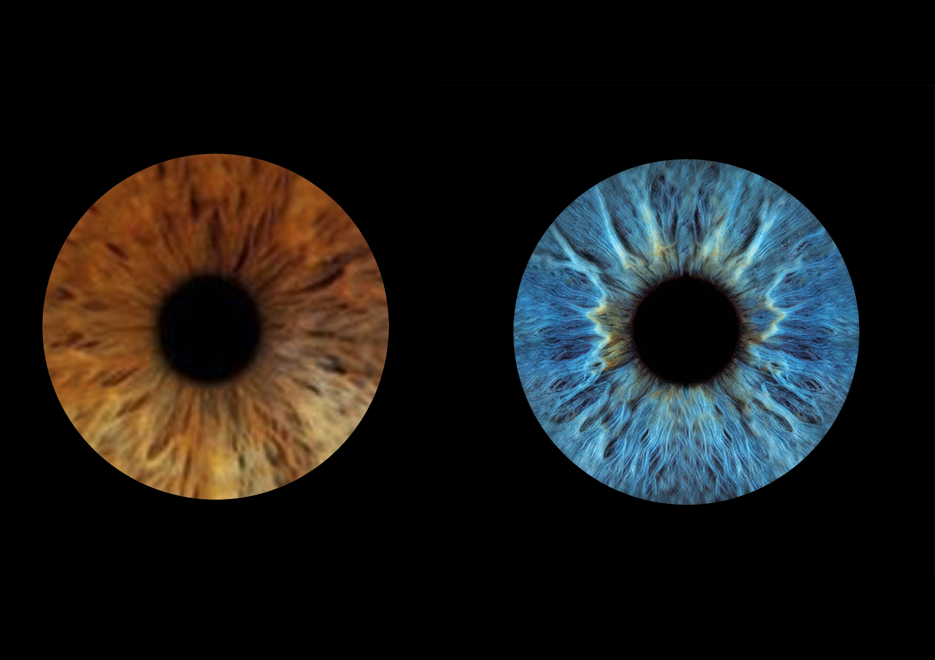 Photoshop Design by Yayan gesuter for this project | Design #34010586