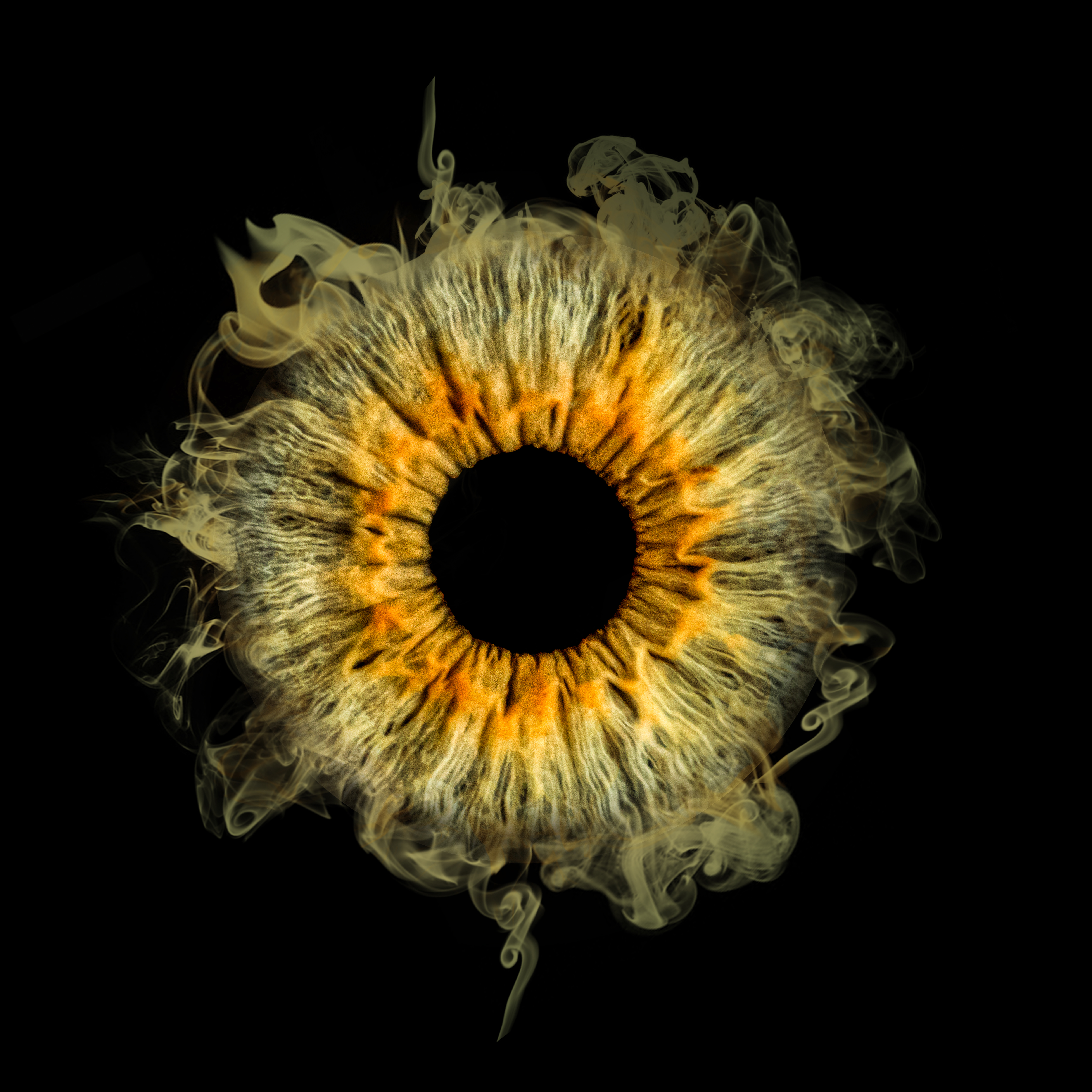 Photoshop Design by FLOWSTATE UNION for this project | Design #34023214