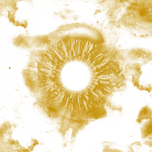 Photoshop Design by FLOWSTATE UNION for this project | Design: #34066539