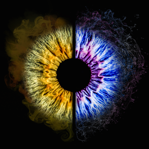 Photoshop Design by FLOWSTATE UNION for this project | Design: #34172307