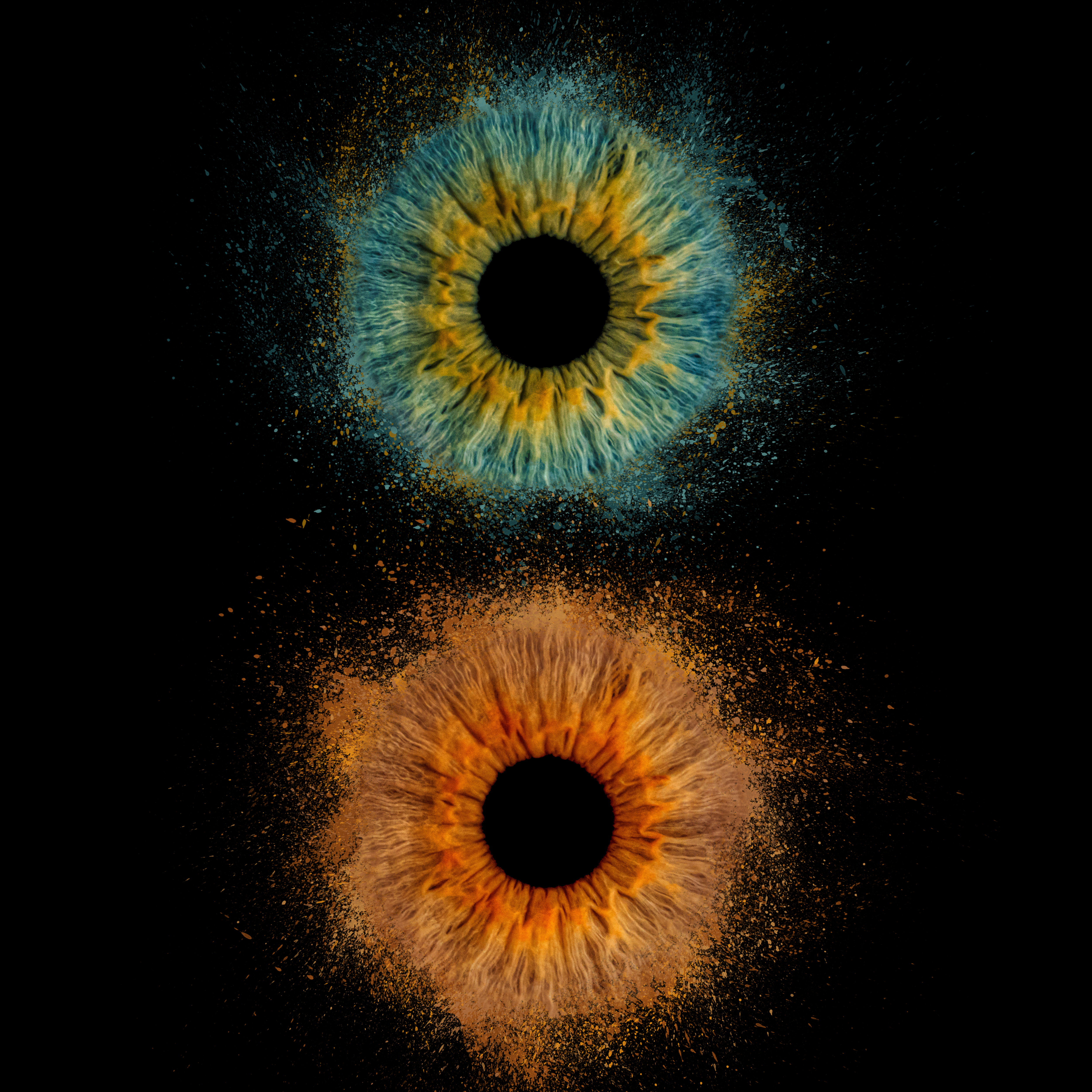 Photoshop Design by FLOWSTATE UNION for this project | Design #34201421