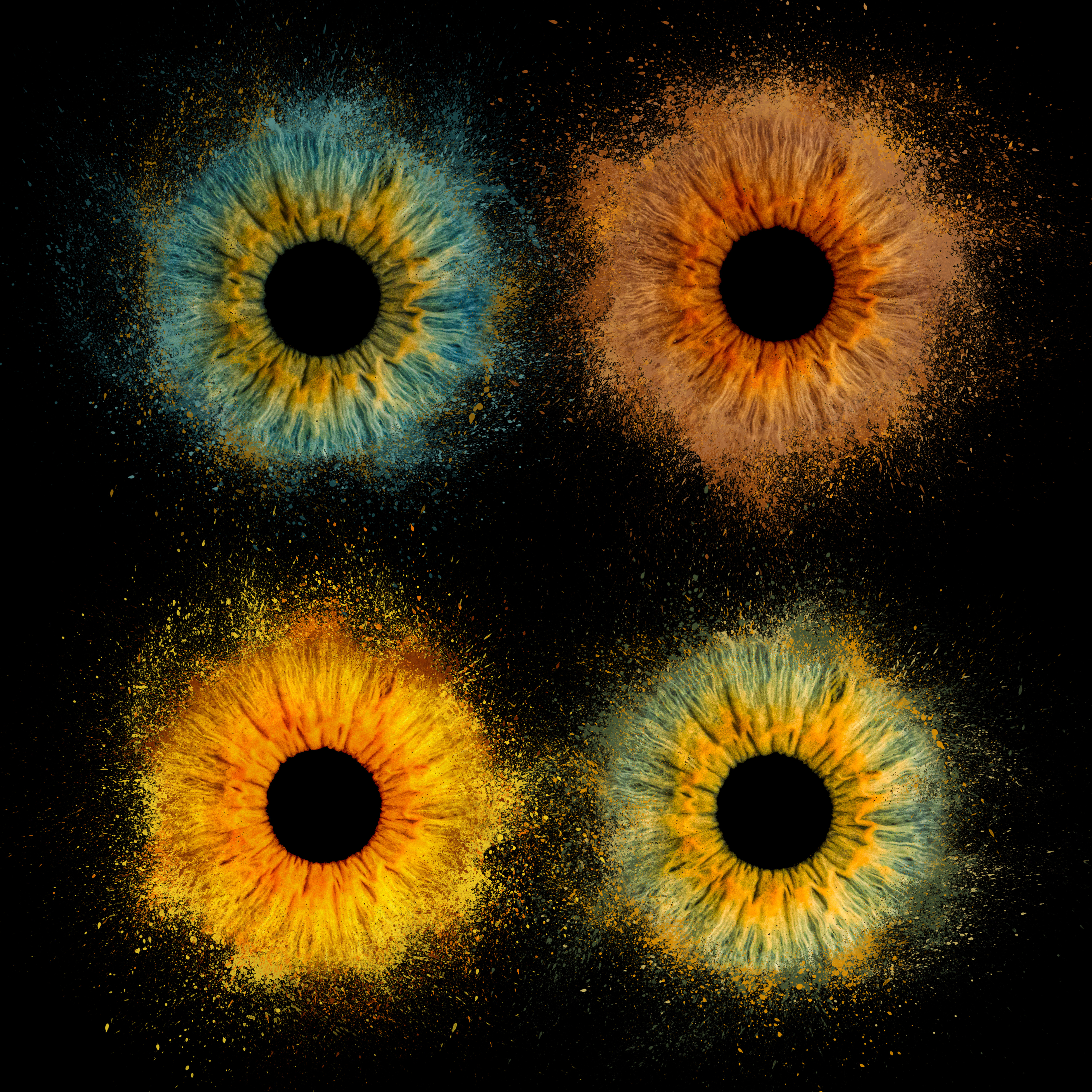 Photoshop Design by FLOWSTATE UNION for this project | Design #34201422