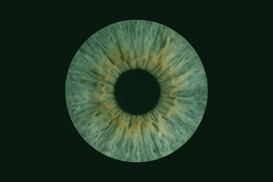 Photoshop Design by nishanthawill for this project | Design: #34122376