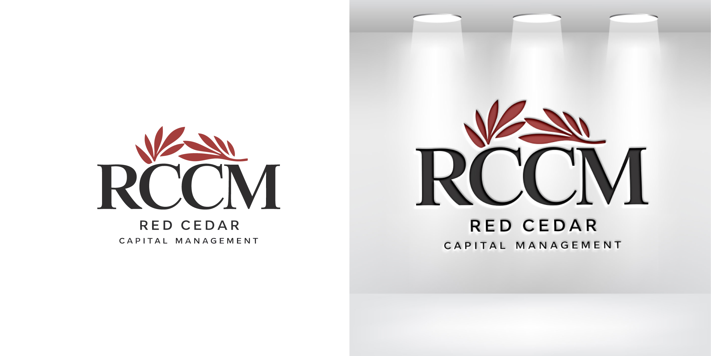 Design de Logo par Christian Cruz pour ce projet | Design #33987418