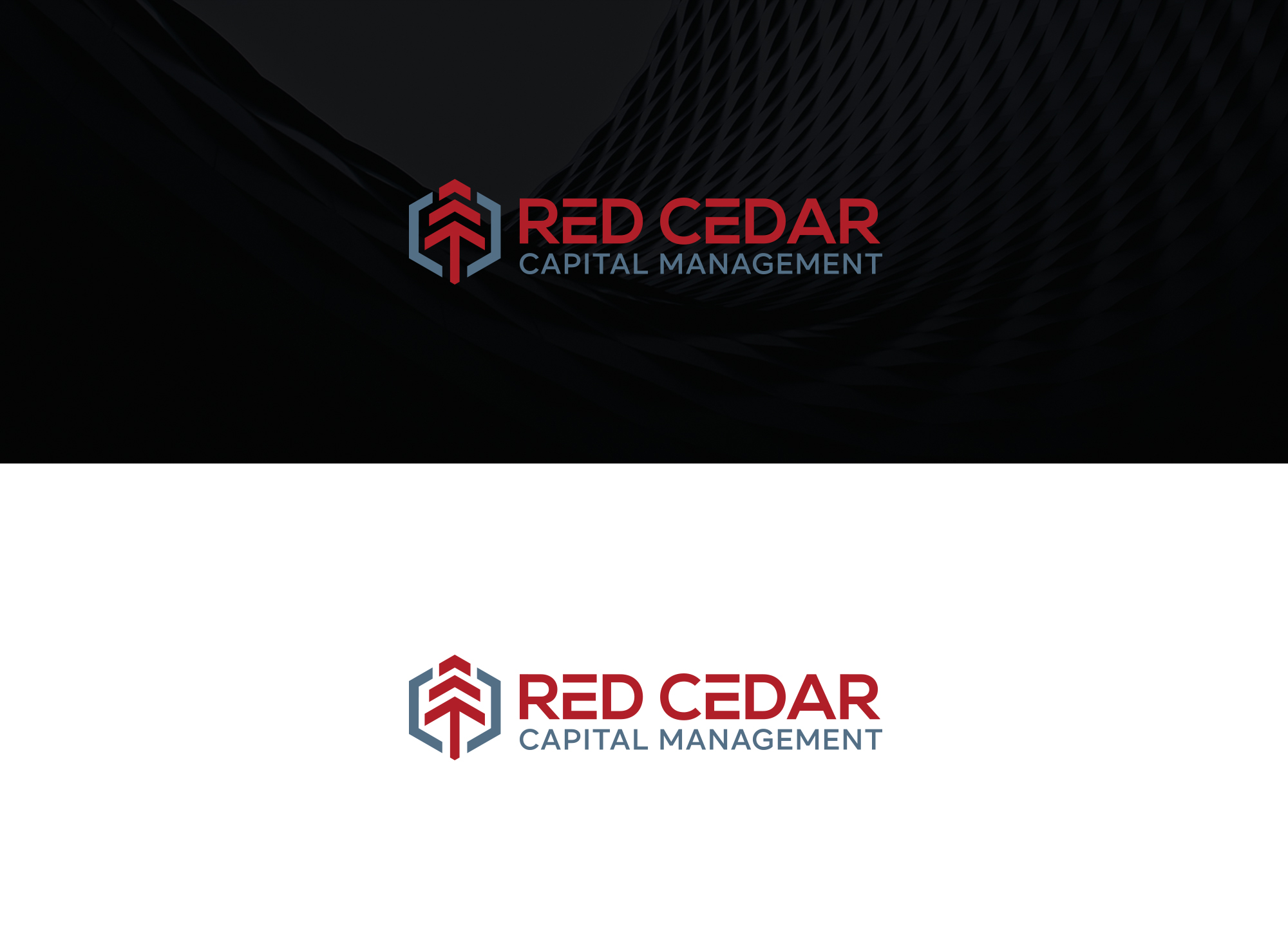 Logo Design by damakyjr for this project | Design #33984351