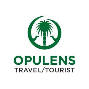 Logo Design by Haddsa