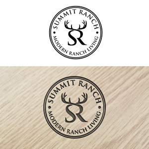 Logo Design by Astro D for this project | Design: #33991089