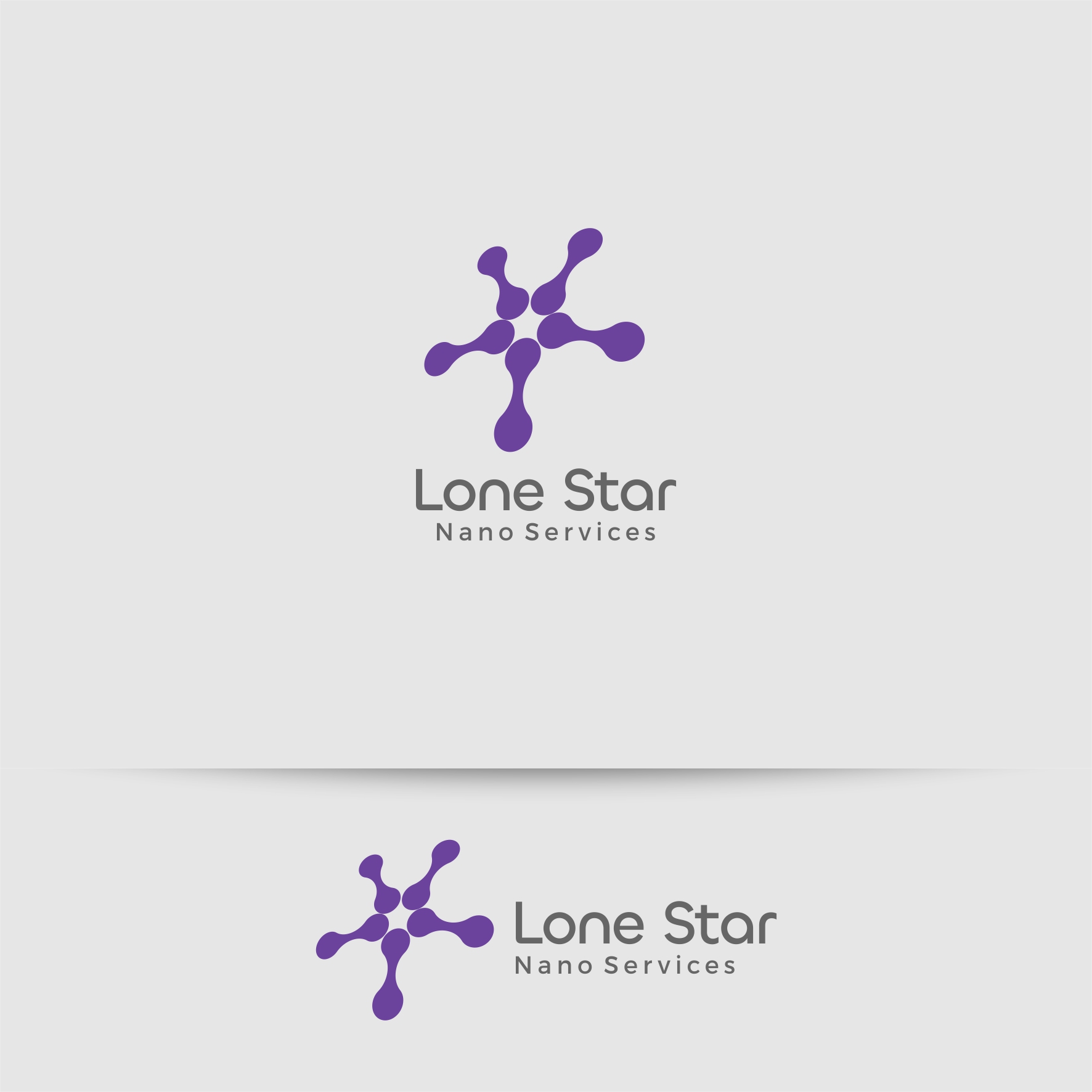 Logo Design by AyStudio for Lone Star Nano Services | Design #33988744