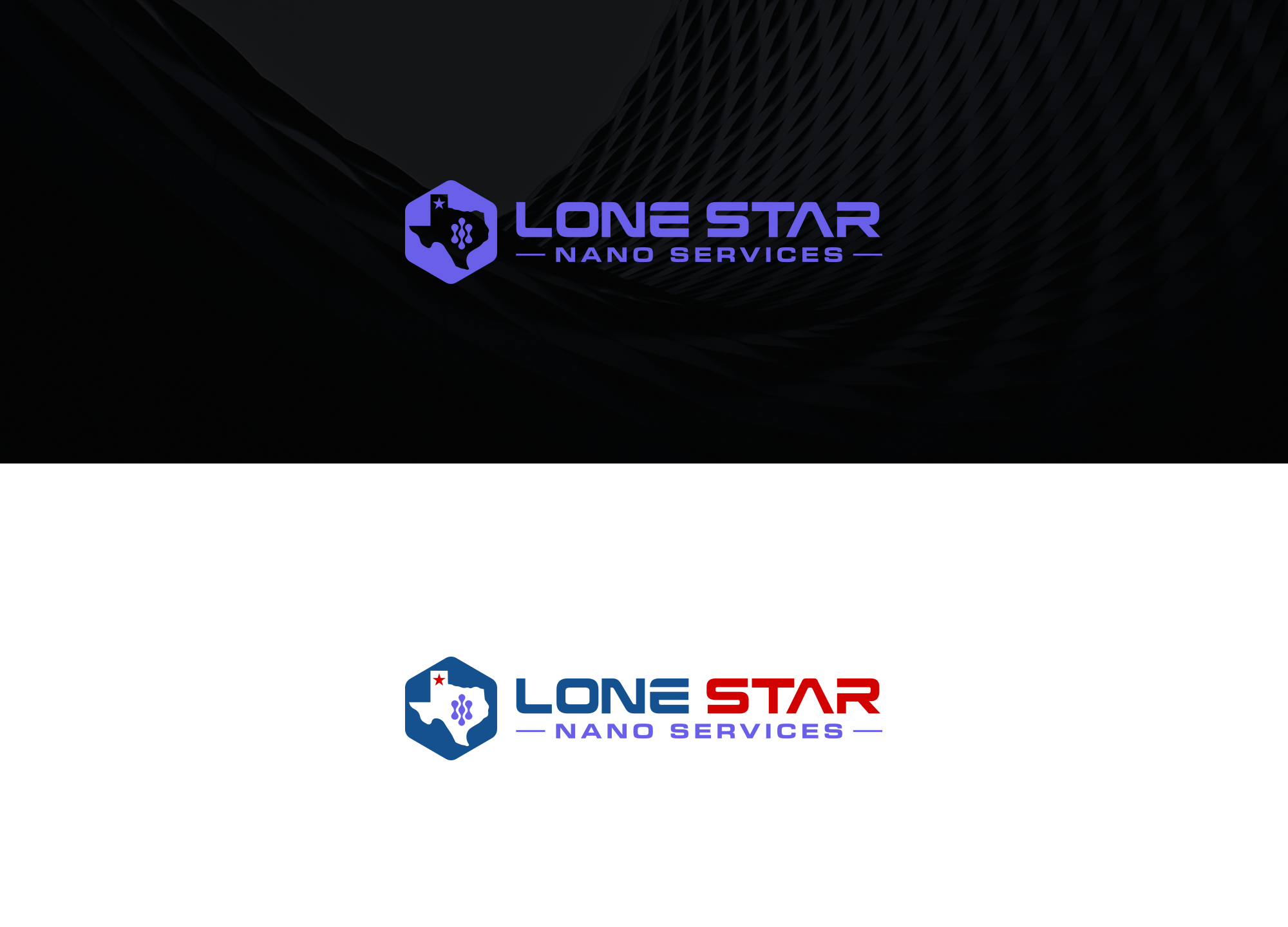 Logo Design by damakyjr for Lone Star Nano Services | Design #33983398