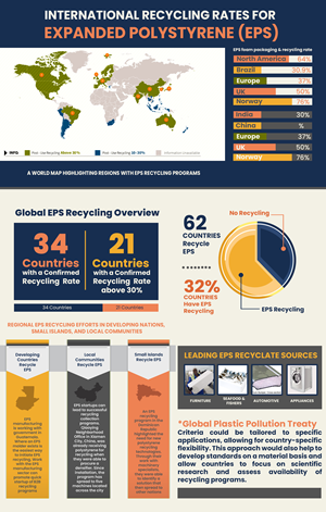 Infographic Design by austin art