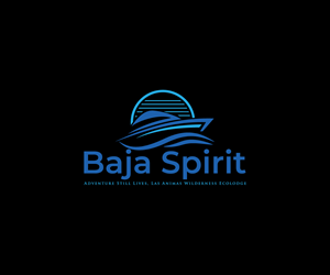 Logo Design by Spark  Design for this project | Design: #34018417