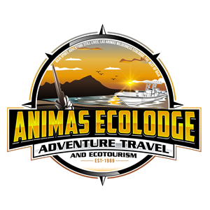 Logo-Design von Suvendu.S für dieses Projekt | Design: #34036367