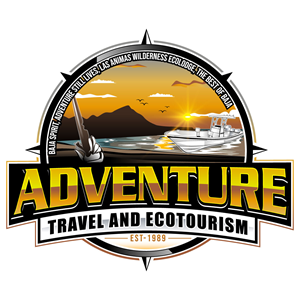 Logo Design by Suvendu.S for this project | Design: #34111305