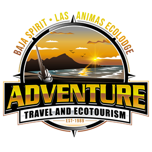 Logo-Design von Suvendu.S für dieses Projekt | Design: #34182419