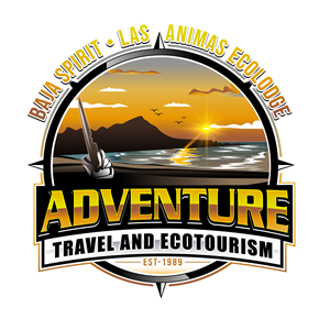 Logo Design by Suvendu.S for this project | Design: #34182817