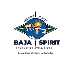 Logo-Design von Casey Kelechi für dieses Projekt | Design: #34037085