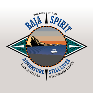 Logo-Design von angelcolmenares3 für dieses Projekt | Design: #34021154