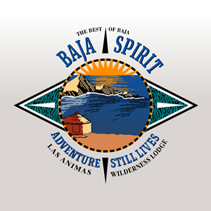 Logo-Design von angelcolmenares3 für dieses Projekt | Design: #34058741