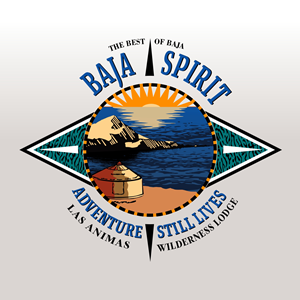 Logo-Design von angelcolmenares3 für dieses Projekt | Design: #34115294