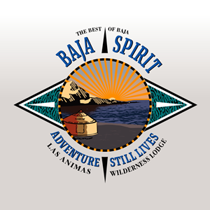 Logo-Design von angelcolmenares3 für dieses Projekt | Design: #34134130