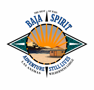 Logo-Design von angelcolmenares3 für dieses Projekt | Design: #34234061