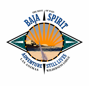 Logo-Design von angelcolmenares3 für dieses Projekt | Design: #34305718