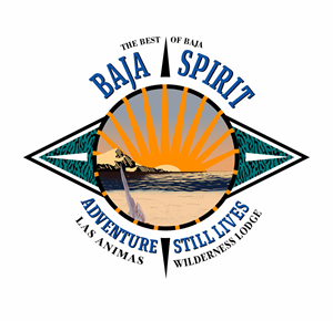 Logo-Design von angelcolmenares3 für dieses Projekt | Design: #34311849