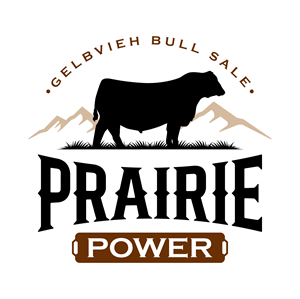 Logo Design by John Mark Arts